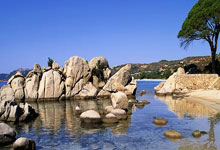 爱游戏体育-Doinb新星回归赛场表现惊艳，独行侠未来可期！的简单介绍